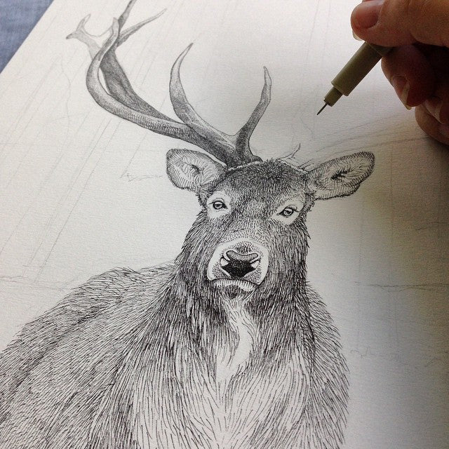 Når tusindevis af streger bliver til en smuk illustration