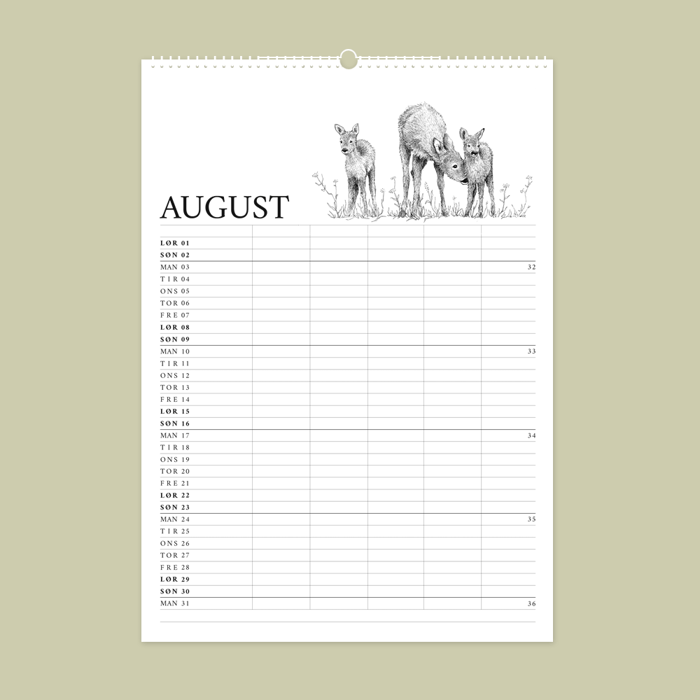 2026 familiekalender med dyr fra den danske natur. August er rådyr.