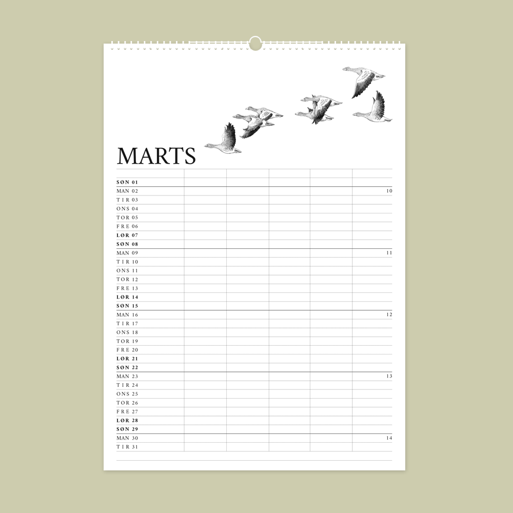 2026 familiekalender med dyr fra den danske natur. Marts er grågæs.