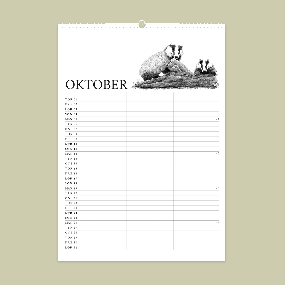 2026 familiekalender med dyr fra den danske natur. Oktober er grævlinge.