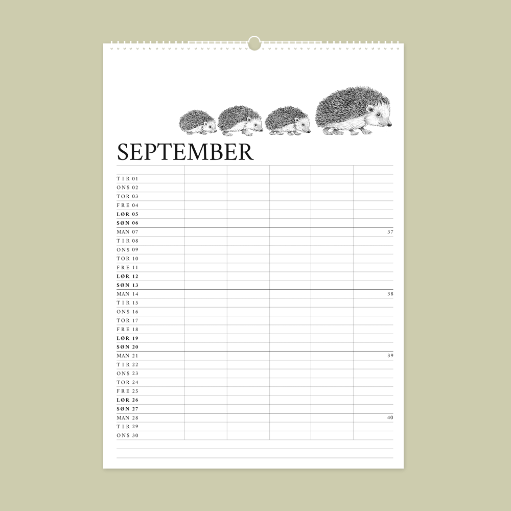 2026 familiekalender med dyr fra den danske natur. September er pindsvin.