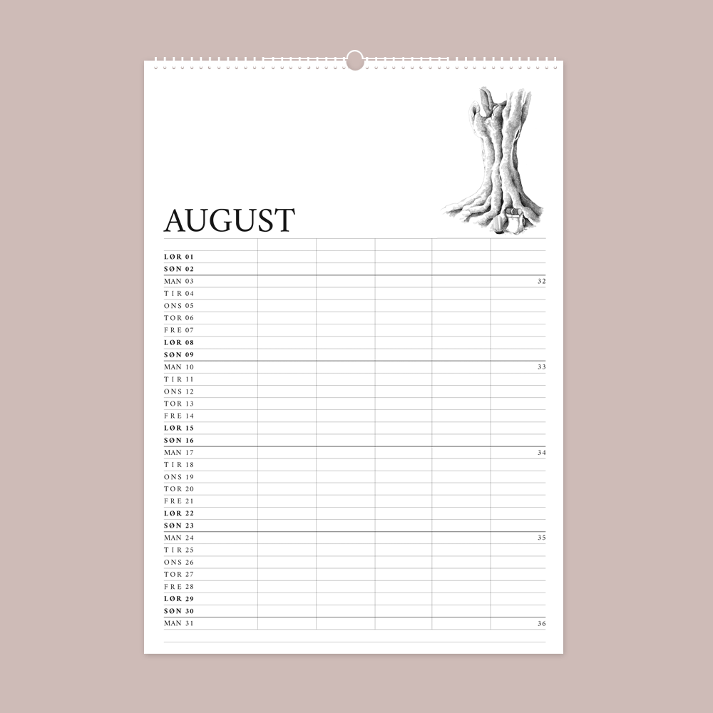 2026 familiekalender - H.C. Andersens eventyr