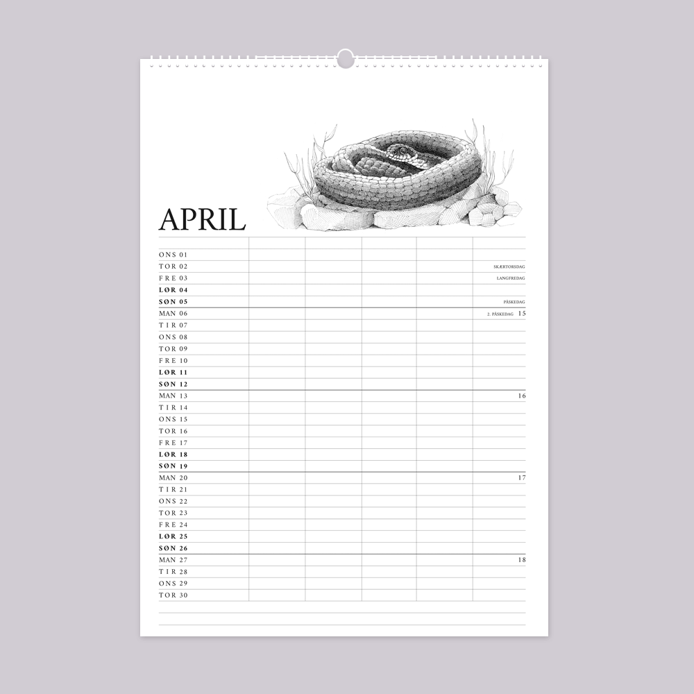 2026 familiekalender med vild have tema. April er med snog.