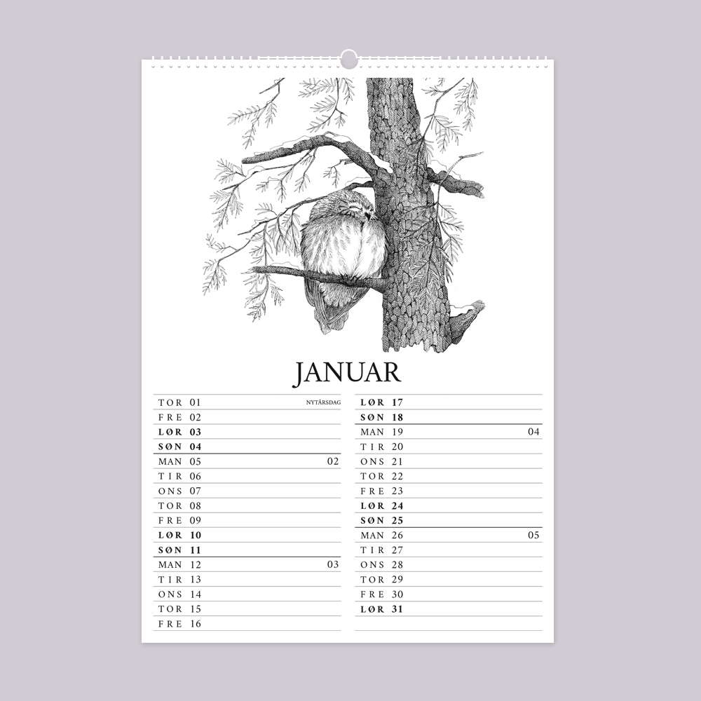 2026 vægkalender - Livet i den vilde have