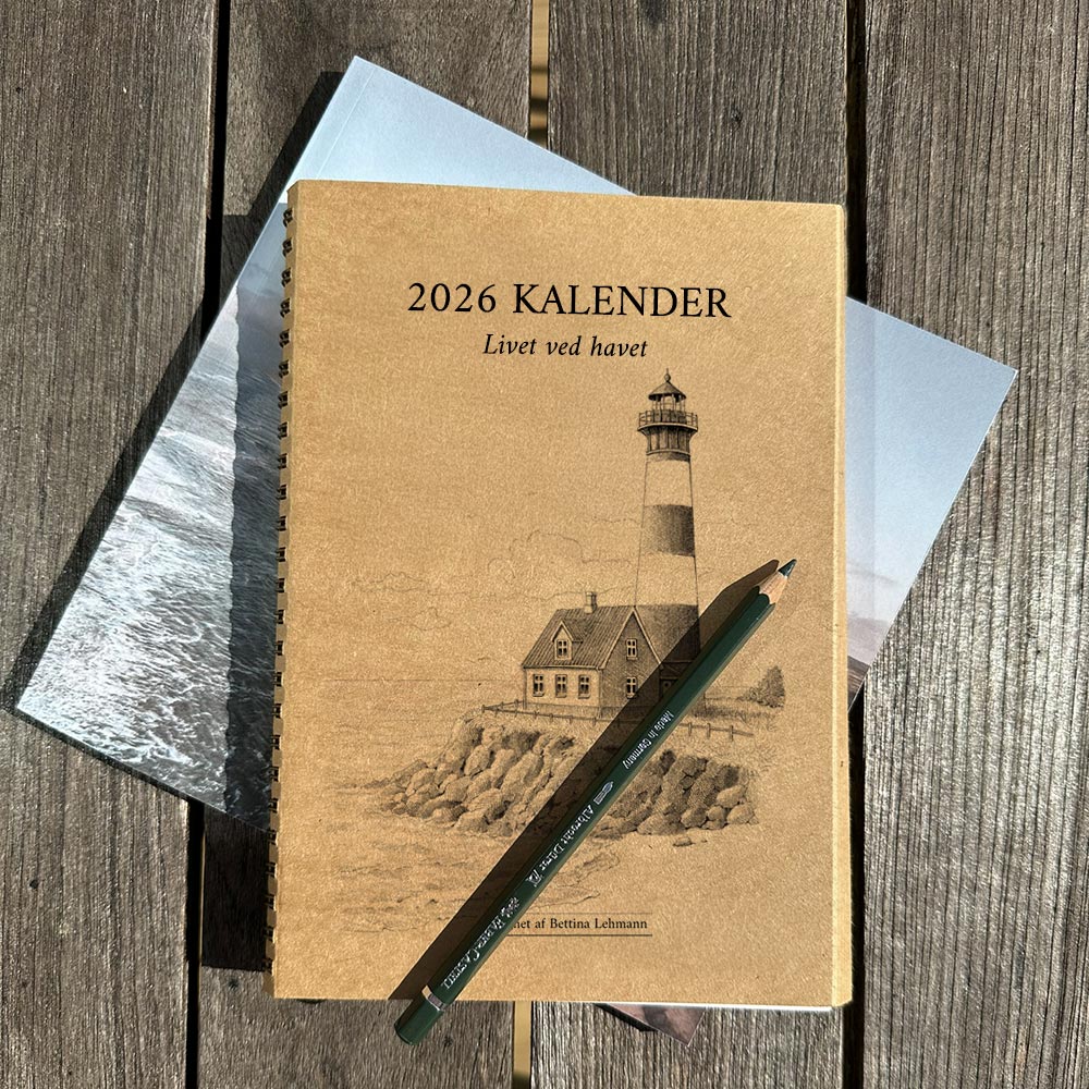 2026 ugekalender - Livet ved havet