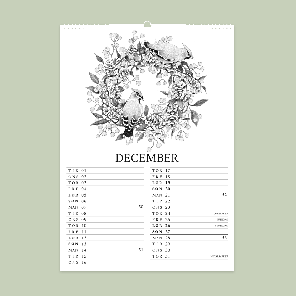 2026 vægkalender - Havens fugle