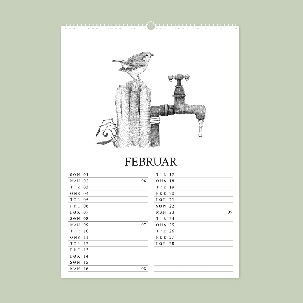 2026 vægkalender - Havens fugle