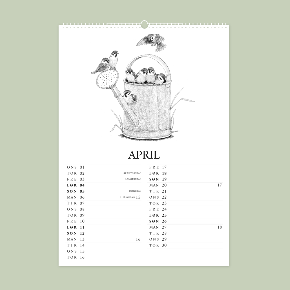 2026 vægkalender - Havens fugle