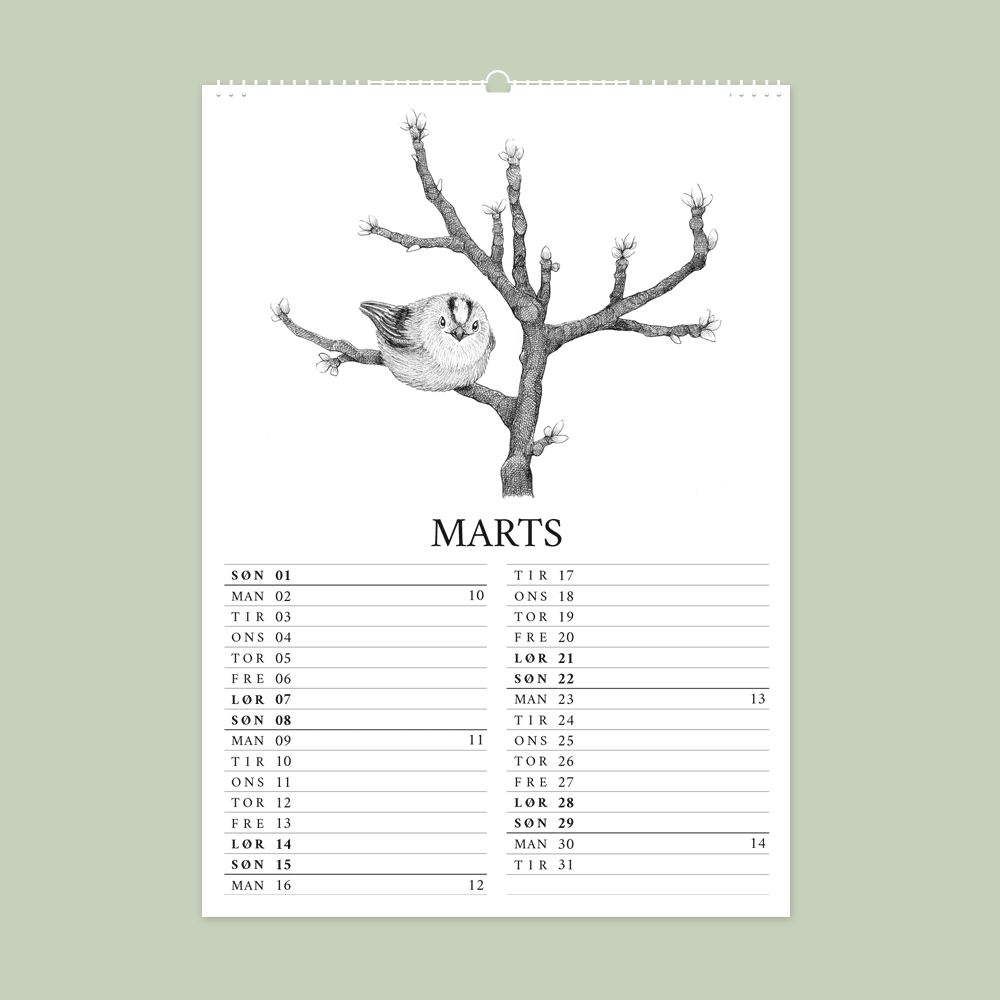 2026 vægkalender - Havens fugle