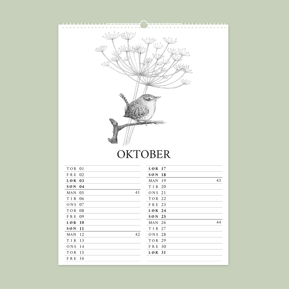 2026 vægkalender - Havens fugle
