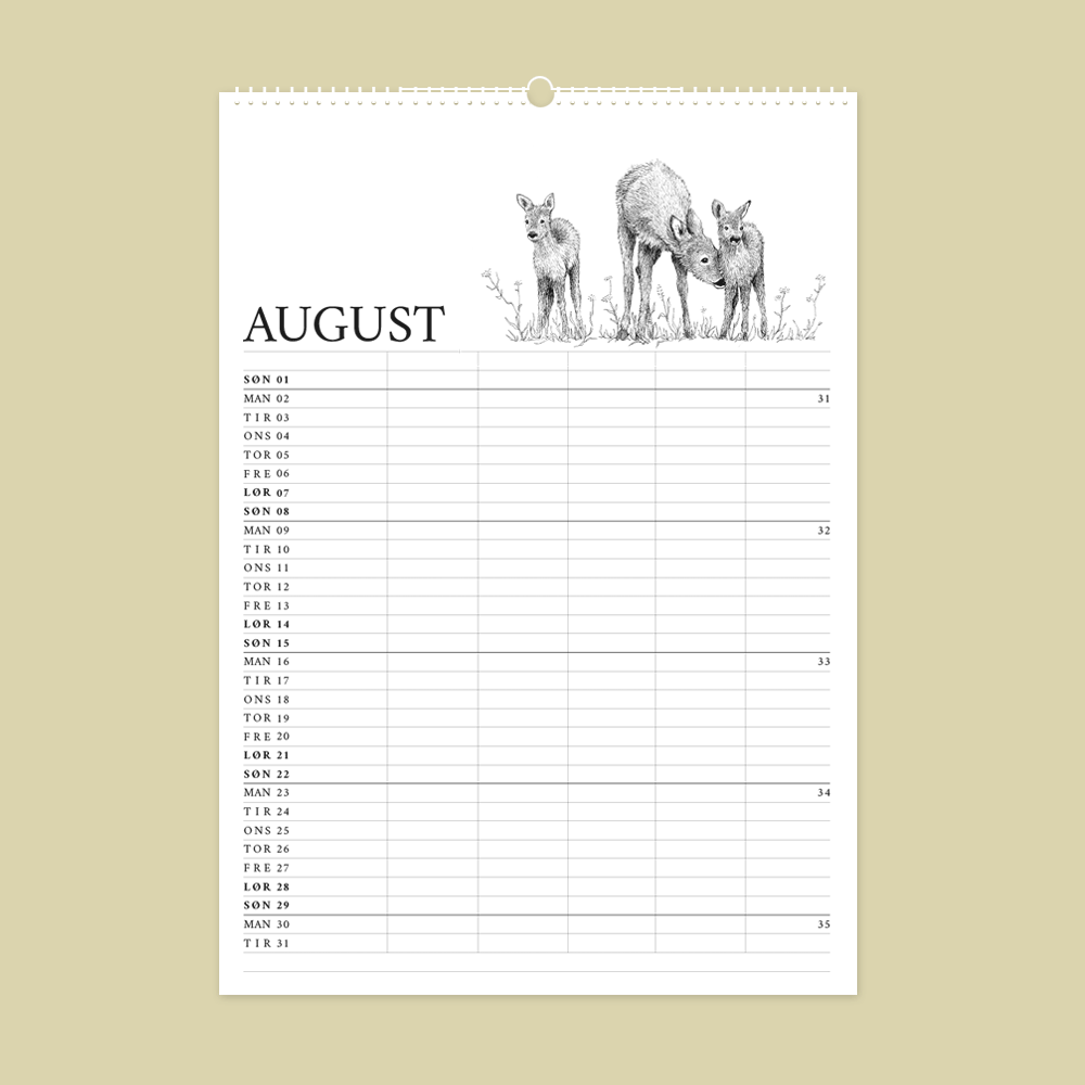 2027 familiekalender. Dyr fra den danske natur. 12 håndtegnede illustrationer af Bettina Lehmann. Rådyr i august