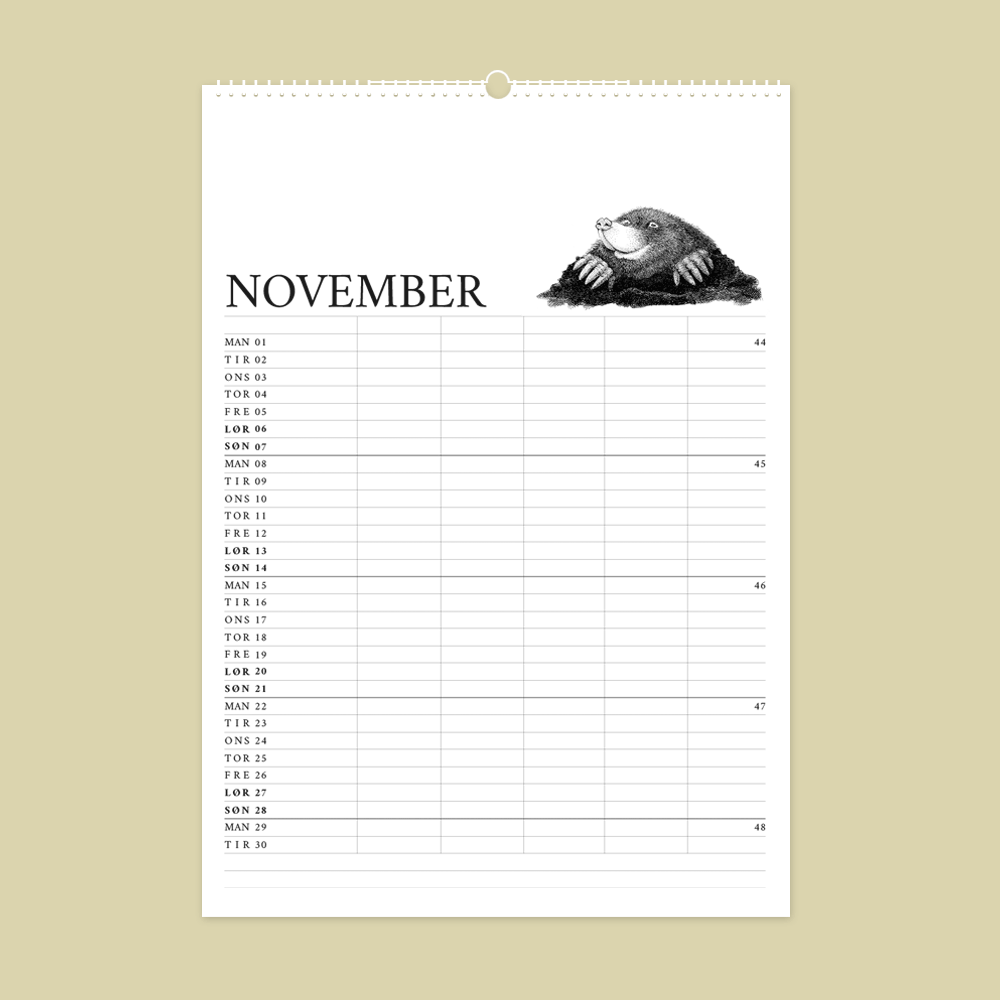 2027 familiekalender. Dyr fra den danske natur. 12 håndtegnede illustrationer af Bettina Lehmann. Muldvarp i november