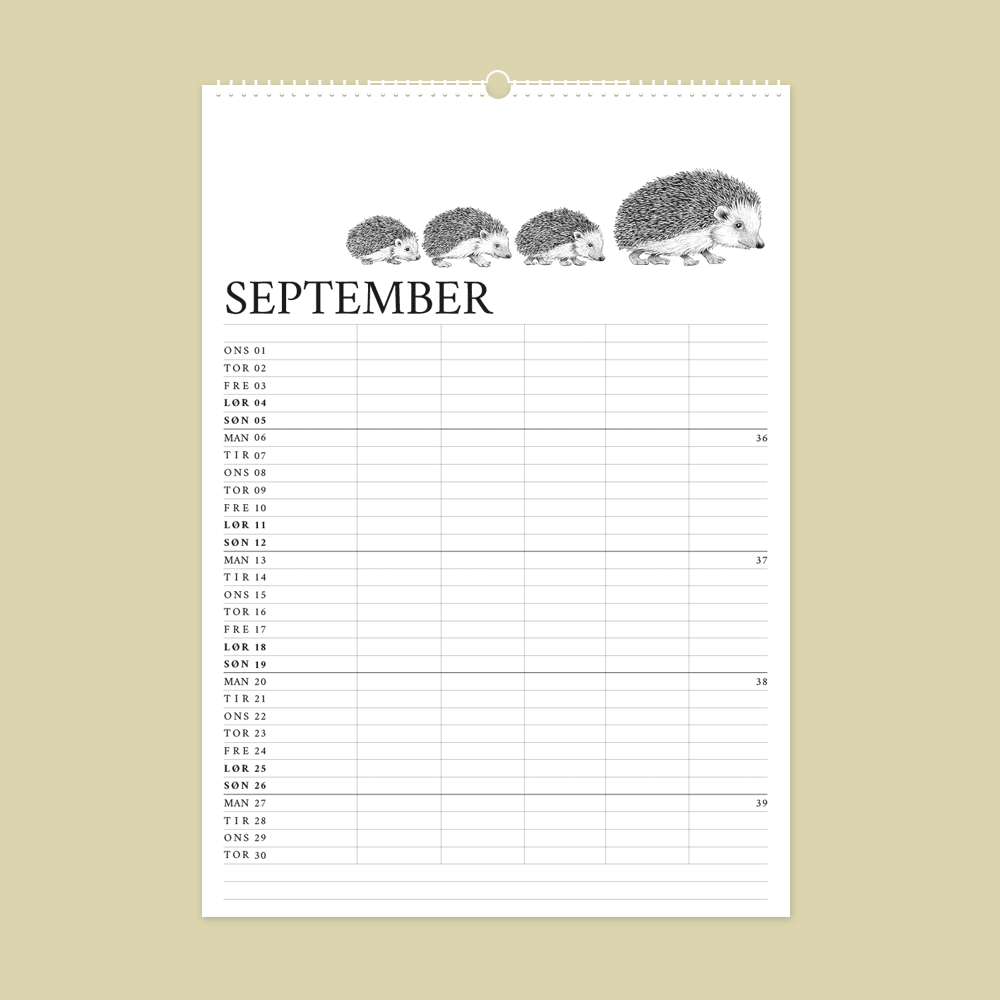 2027 familiekalender. Dyr fra den danske natur. 12 håndtegnede illustrationer af Bettina Lehmann. Pindsvin i september