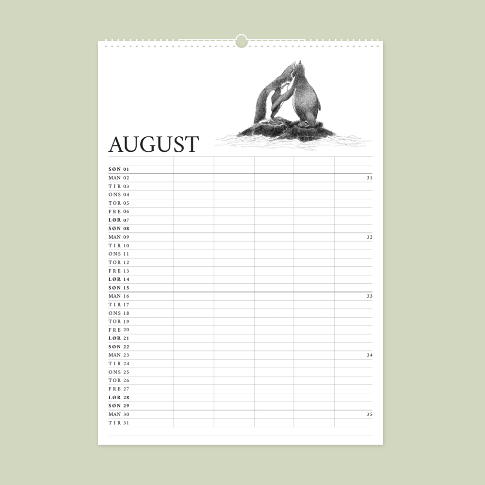 2027 familiekalender. Galapagos. 12 håndtegnede illustrationer af Bettina Lehmann. Pingviner i august