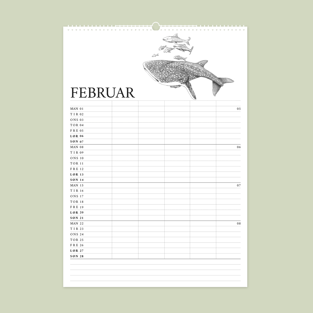 2027 familiekalender. Galapagos. 12 håndtegnede illustrationer af Bettina Lehmann. Hvalhaj i februar