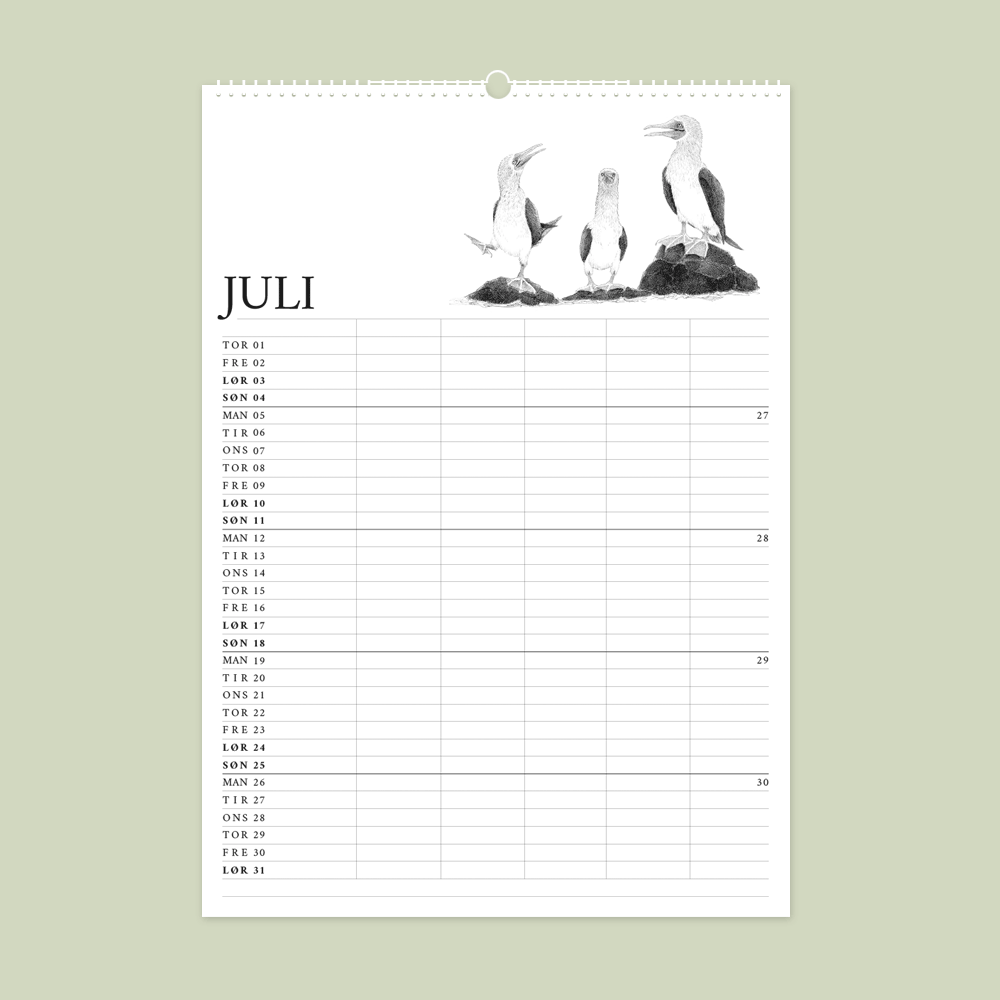 2027 familiekalender. Galapagos. 12 håndtegnede illustrationer af Bettina Lehmann. Suler i juli