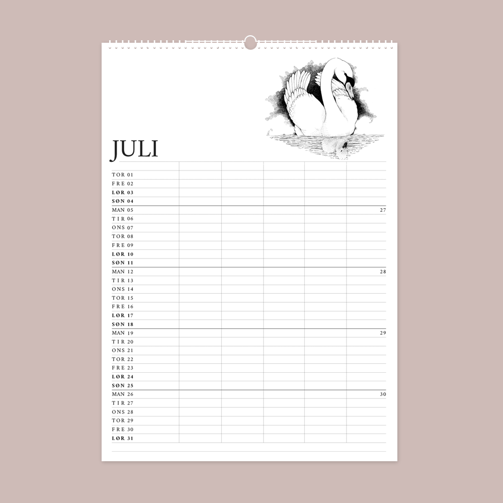 2027 familiekalender. H. C. Andersens eventyr. 12 håndtegnede illustrationer af Bettina Lehmann. Juli - Den grimme ælling