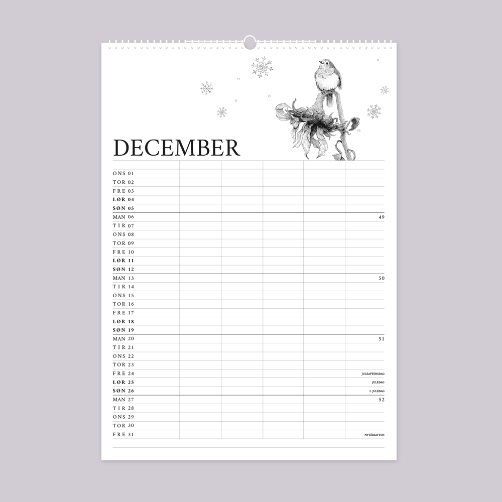 2027 familiekalender. Livet i den vilde have. 12 håndtegnede illustrationer af Bettina Lehmann. Rødkælk på vissen solsikke