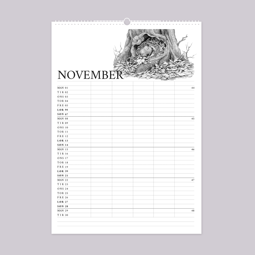 2027 familiekalender. Livet i den vilde have. 12 håndtegnede illustrationer af Bettina Lehmann. Pindsvin i hi