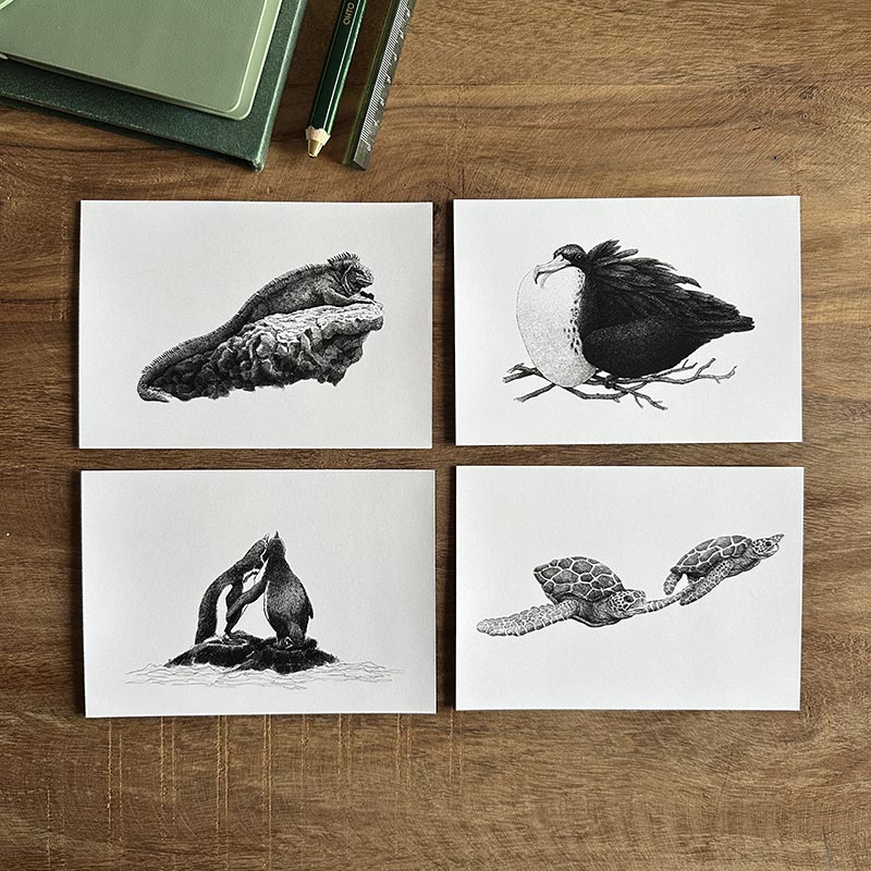 Kortpakke - Galapagos