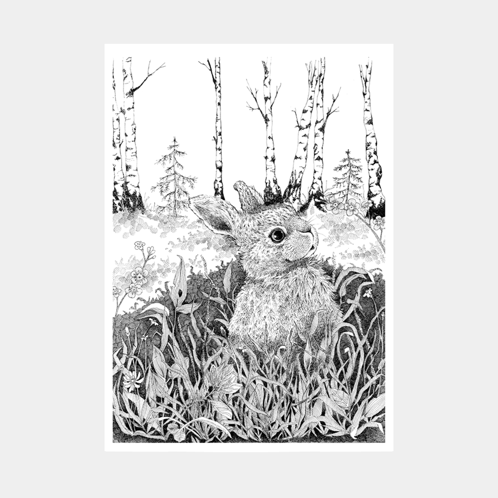 Børneplakat med lille hare til både dreng og pige. Tegnet i hånden af Bettina Lehmann.