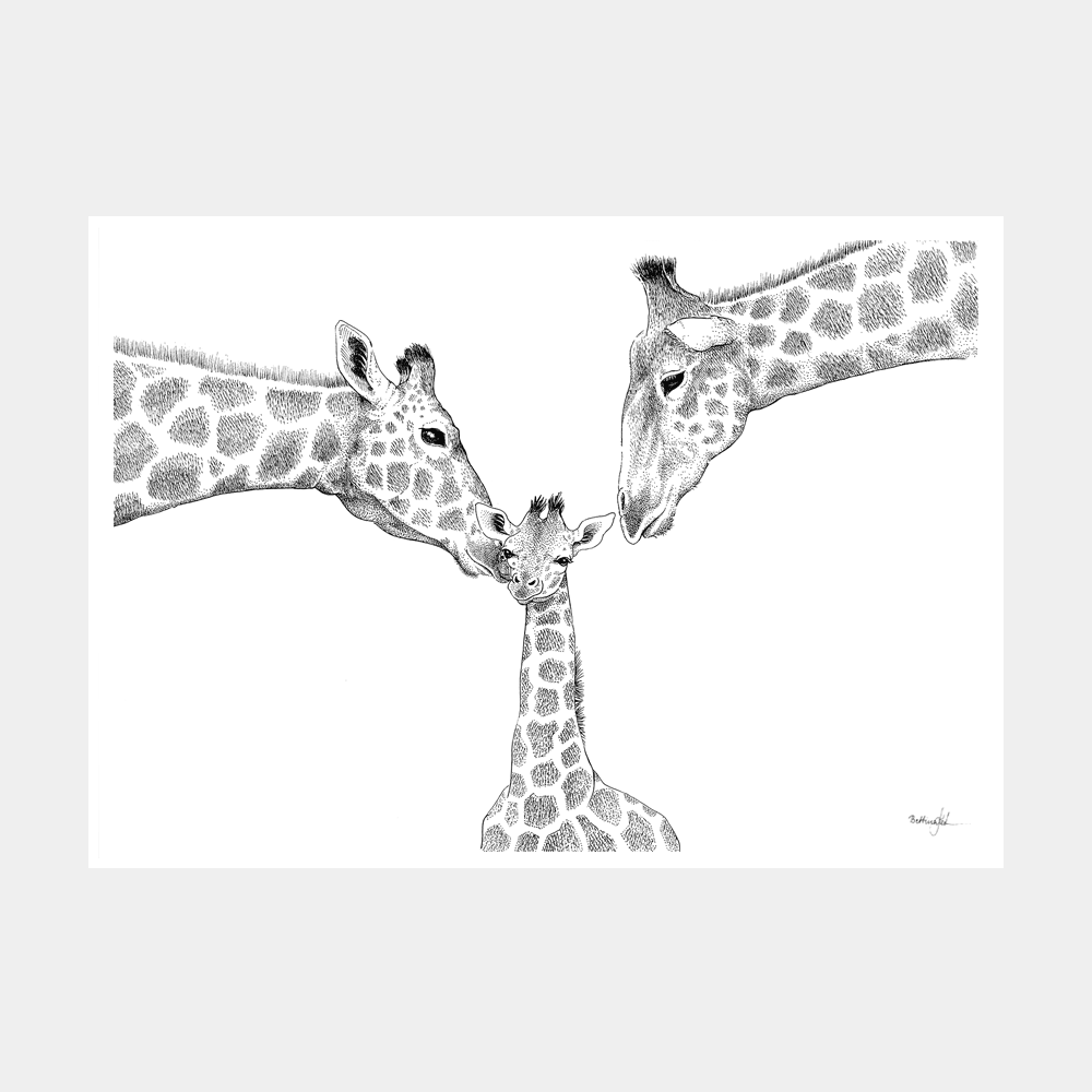 Håndtegnet familieplakat med giraffer og en unge. "Kærlighed uden lige"