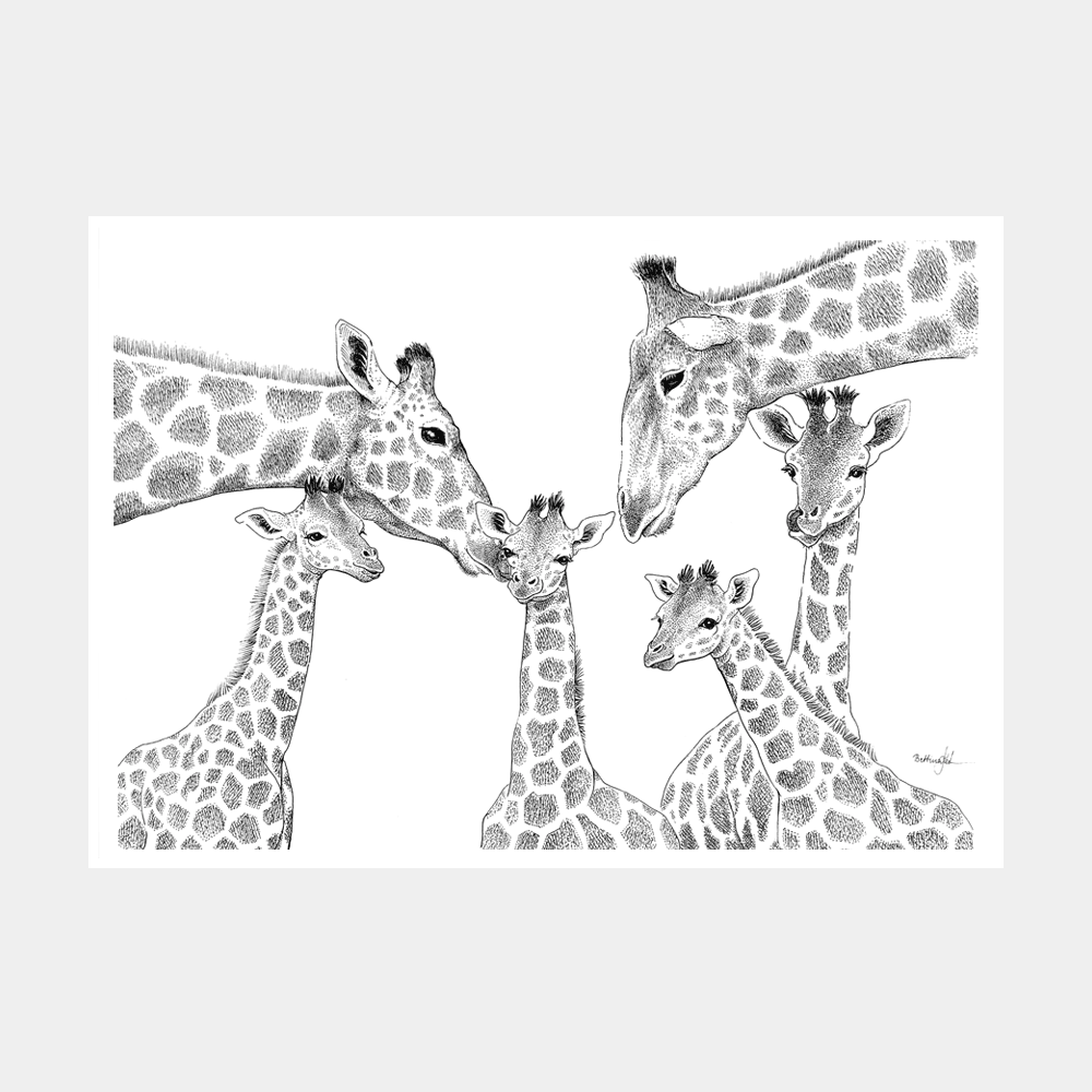 Håndtegnet familieplakat med giraffer og fire unger. "Kærlighed uden lige"