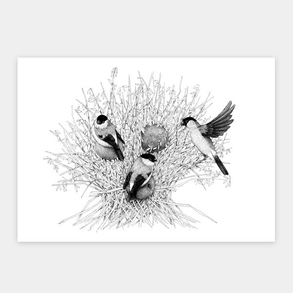 Sampak - 4 kunstkort fra "Havens fugle" - 3