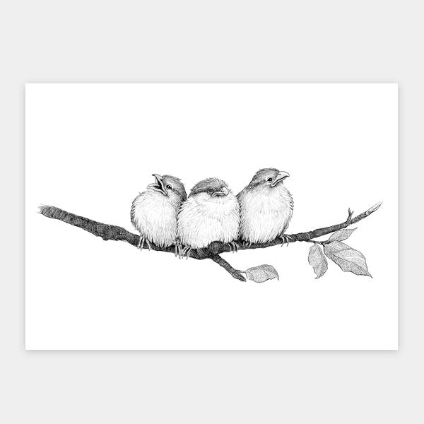 Sampak - 4 kunstkort fra "Havens fugle" - 3