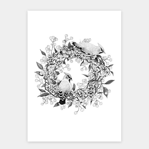 Sampak - 4 kunstkort fra "Havens fugle" - 2