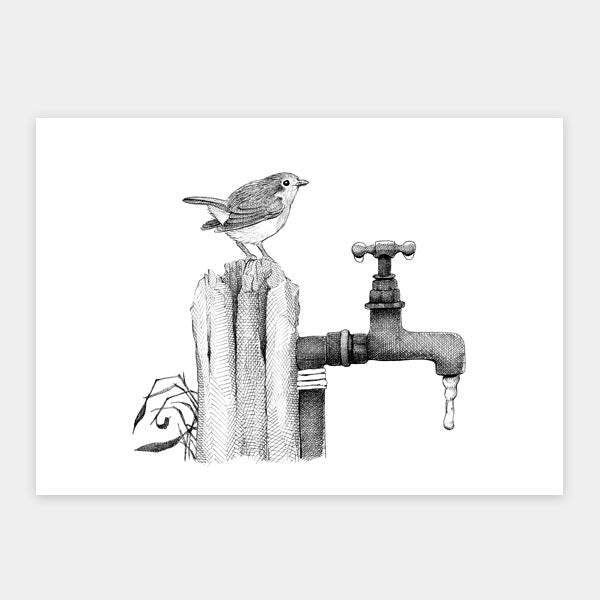 Sampak - 4 kunstkort fra "Havens fugle" - 2