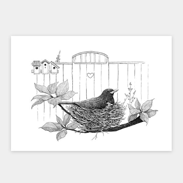 Sampak - 4 kunstkort fra "Havens fugle" - 2