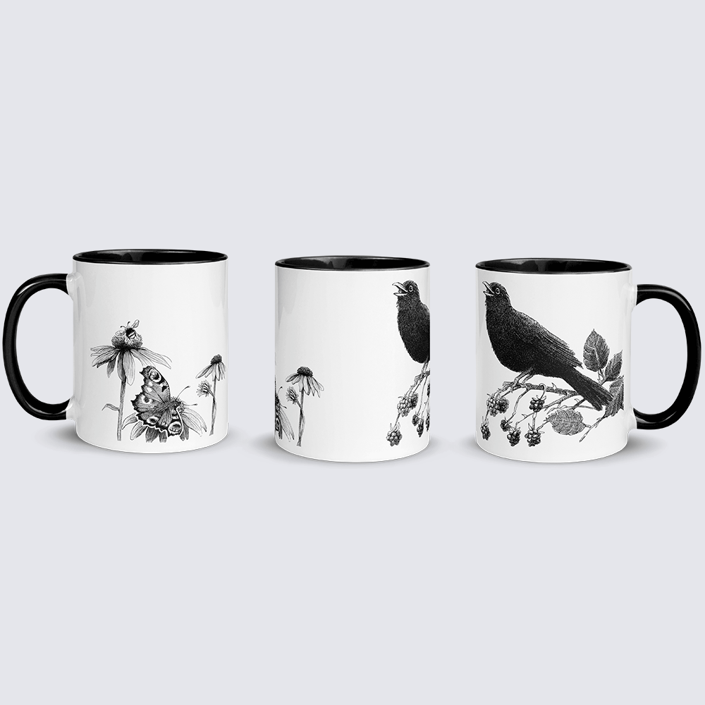 Krus med solsort, brombær og rød solhat