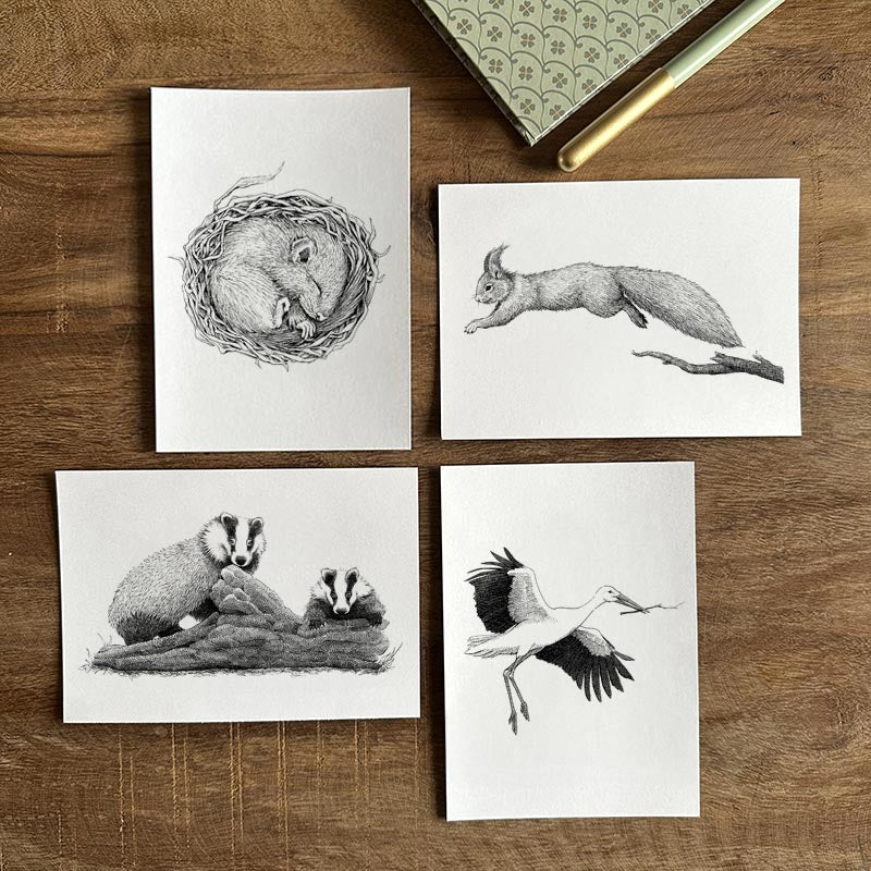 Kortpakke 1 - Nordiske dyr