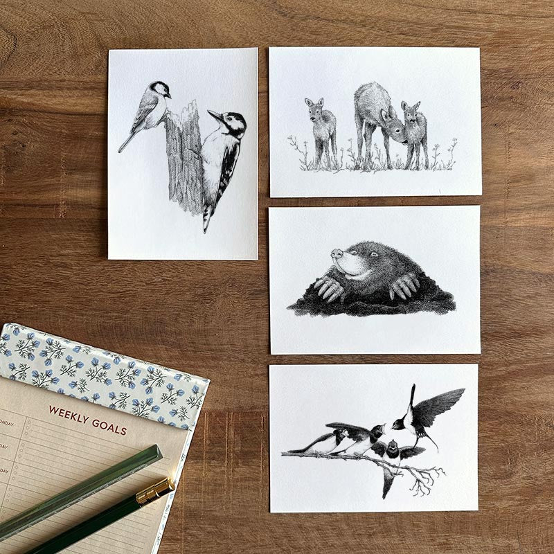 Kortpakke 2 - Nordiske dyr