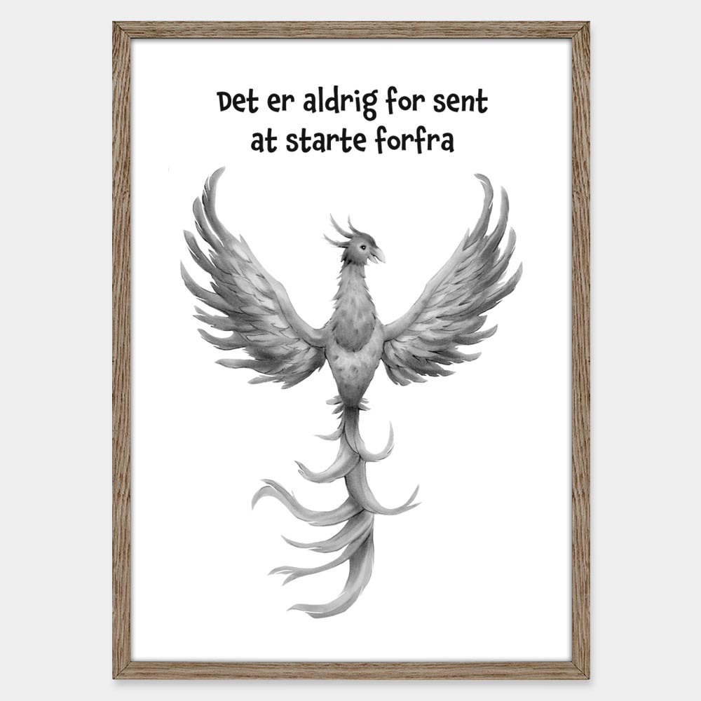 Det er aldrig for sent at starte forfra