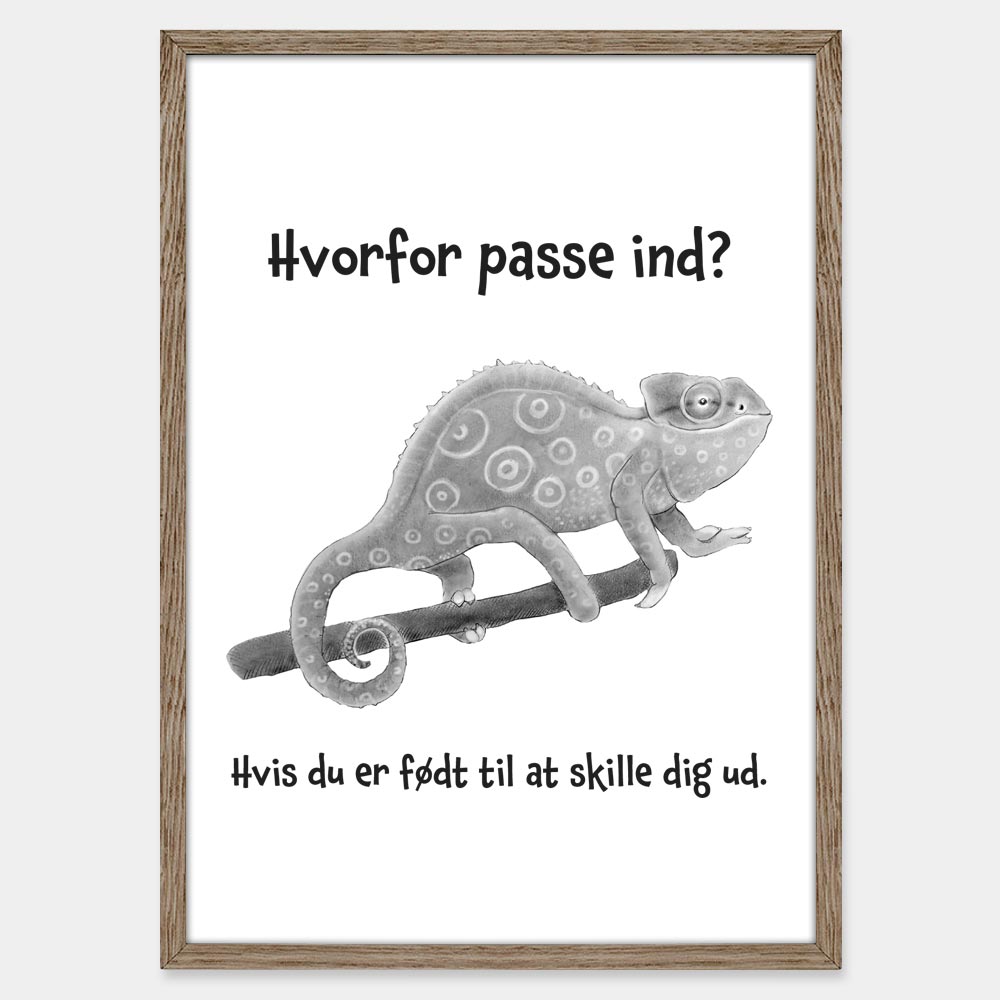 Hvorfor passe ind?