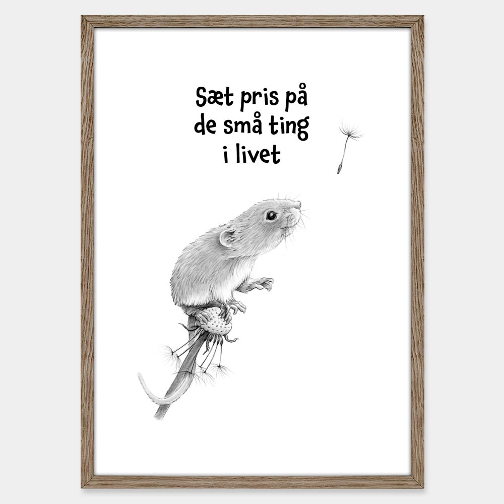 Citat: Sæt pris på de små ting i livet