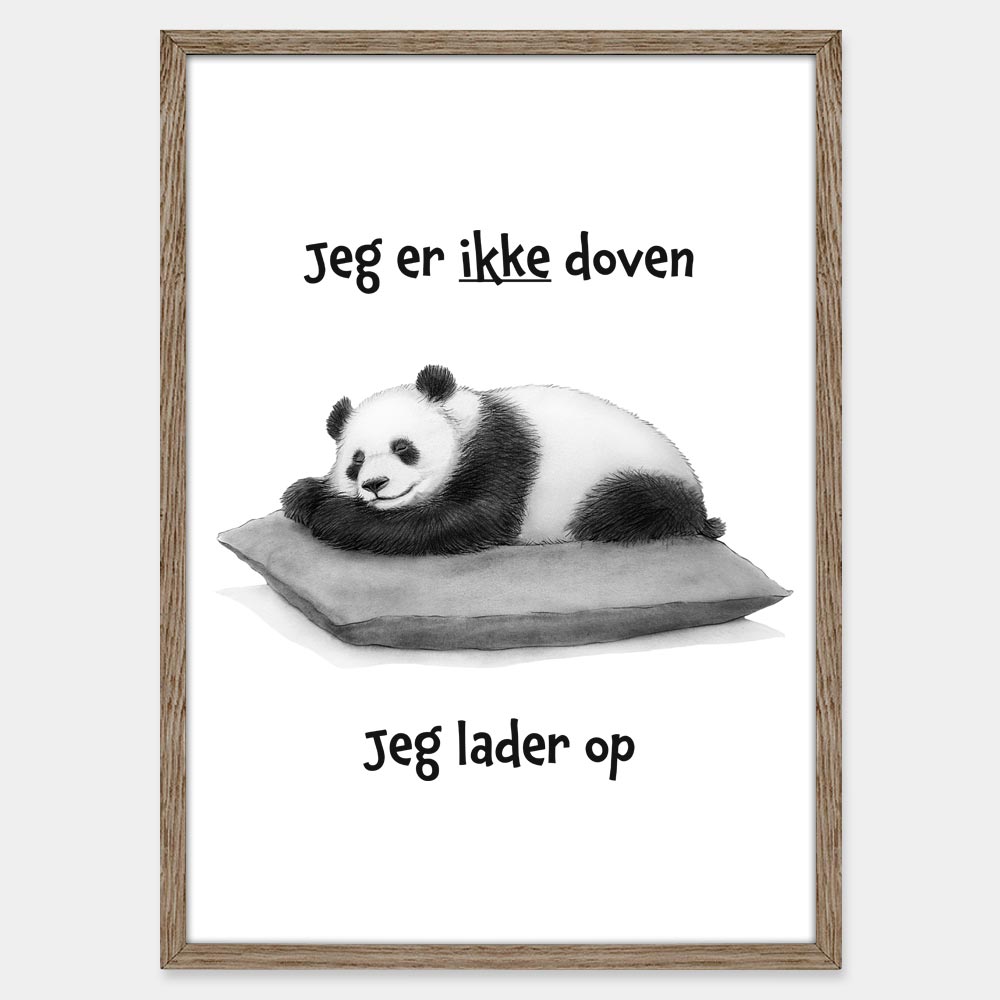 Jeg er ikke doven. Jeg lader op!