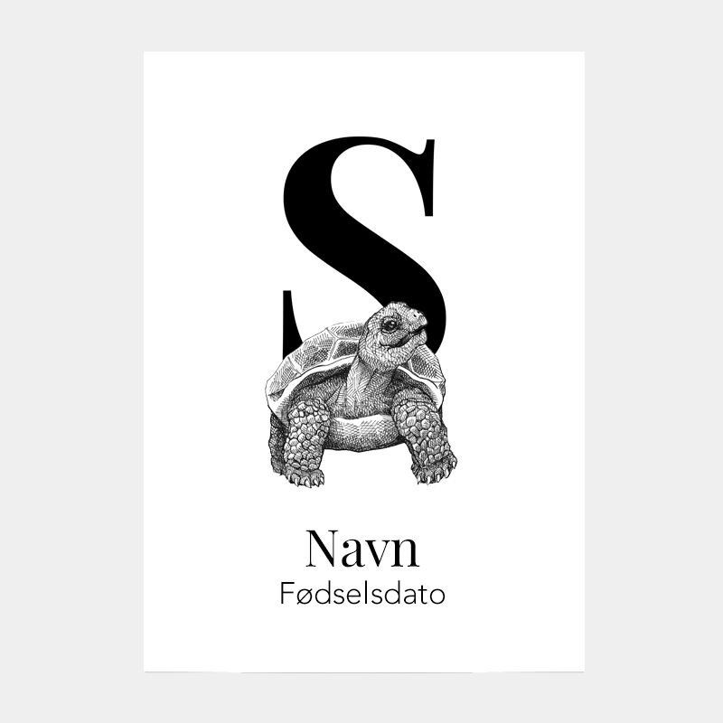 Navneplakat med bogstav S og skildpadde – til børneværelset, gave til fødselsdag