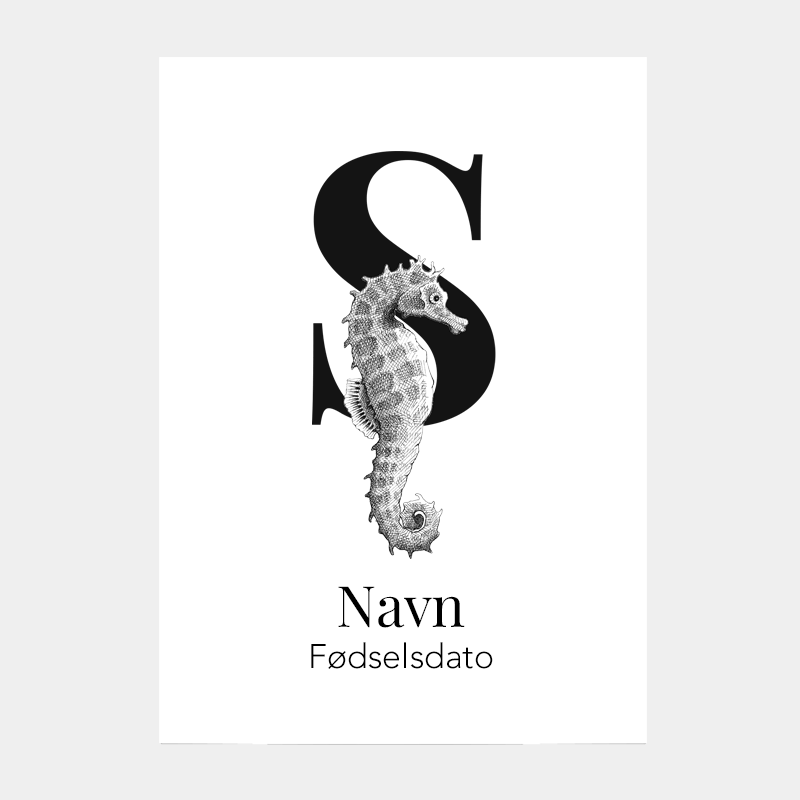 Navneplakat med bogstav S og søhest – illustration til børneværelset, lærerig plakat