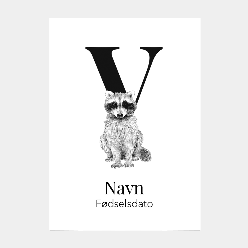 Navneplakat med bogstav V og vaskebjørn – personlig illustration med dyr og bogstav
