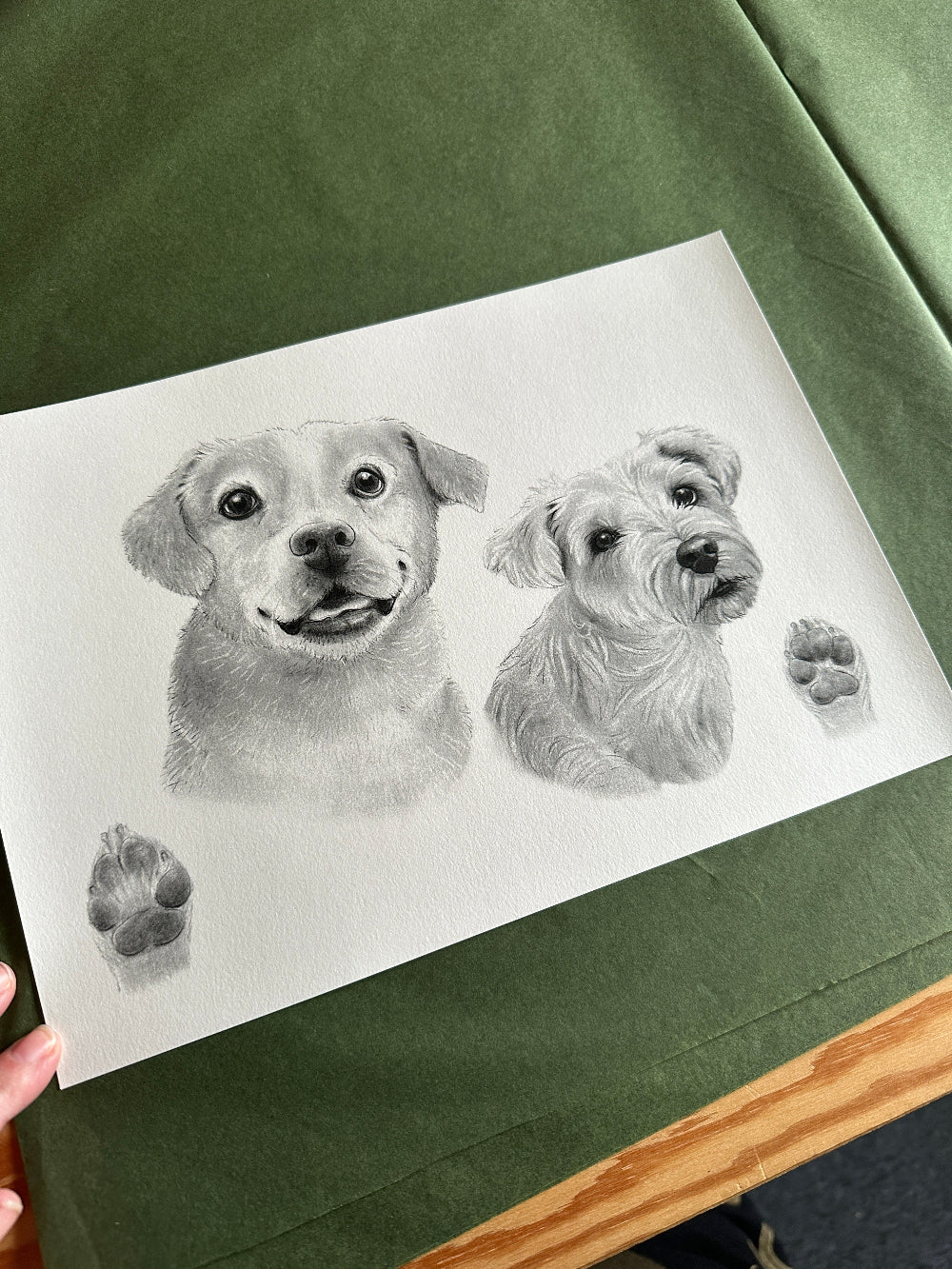 Bestillingsopgave af hunde og poter