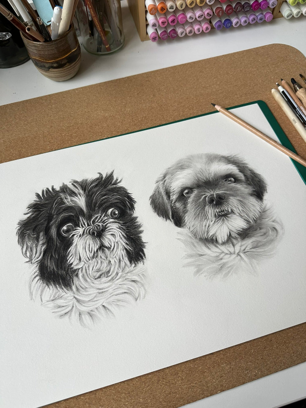 Bestillingsopgave af hunde tegnet med kul