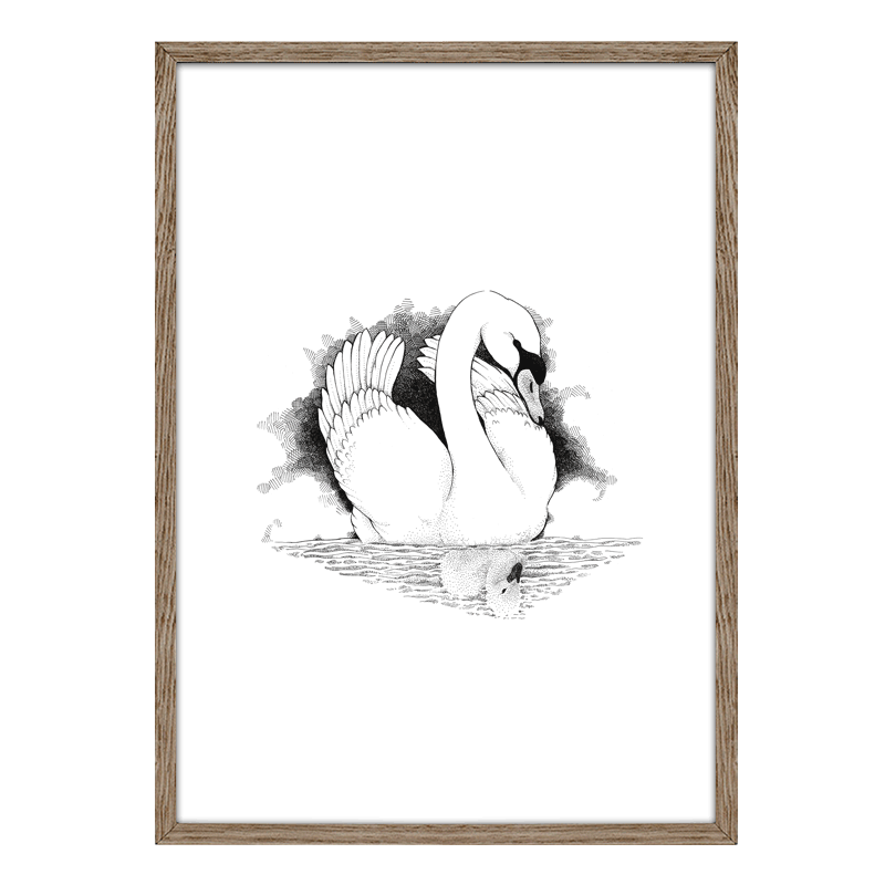 Sort-hvid håndtegnet plakat med svane, inspireret af Den grimme ælling – symbol på forvandling og selvaccept.