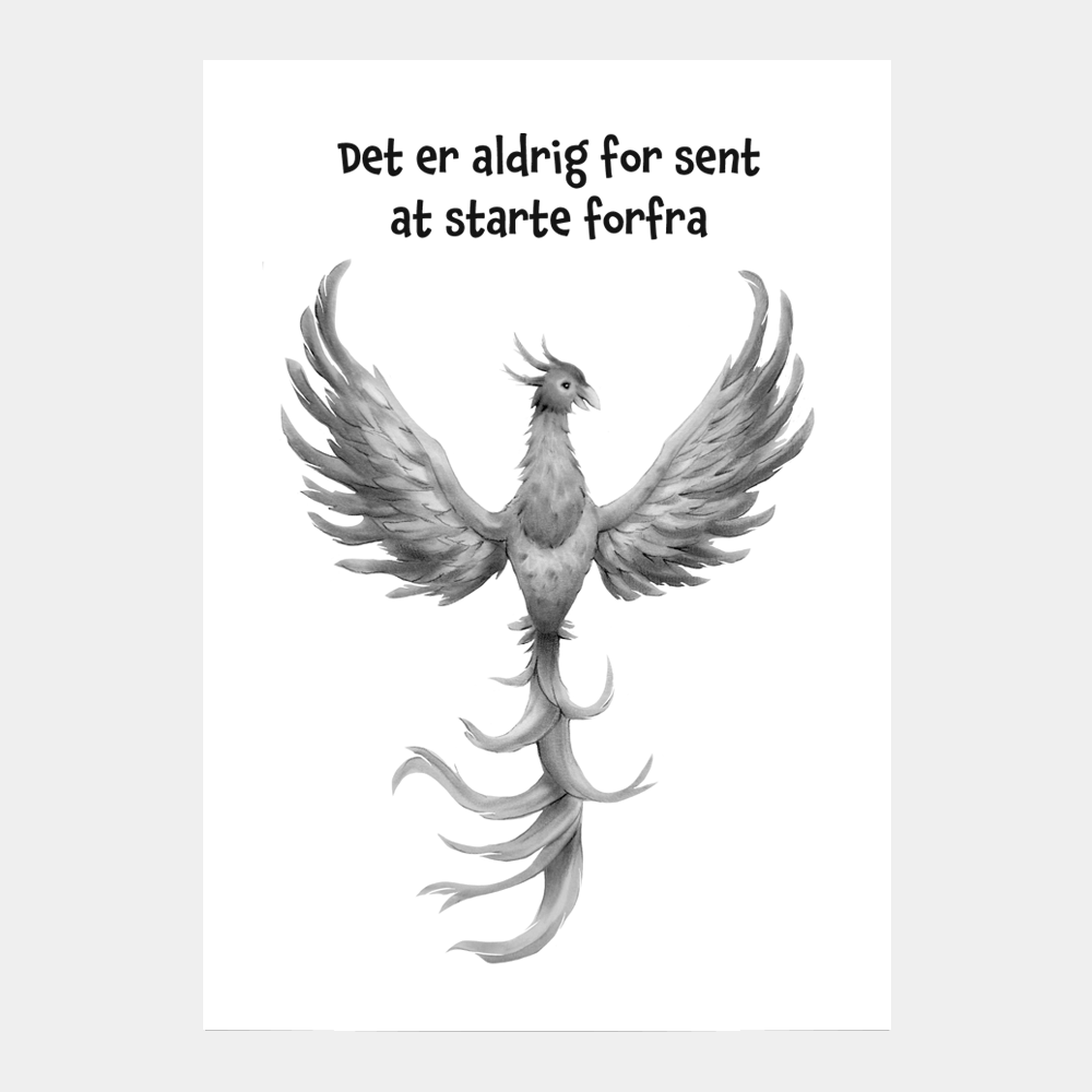 Det er aldrig for sent at starte forfra