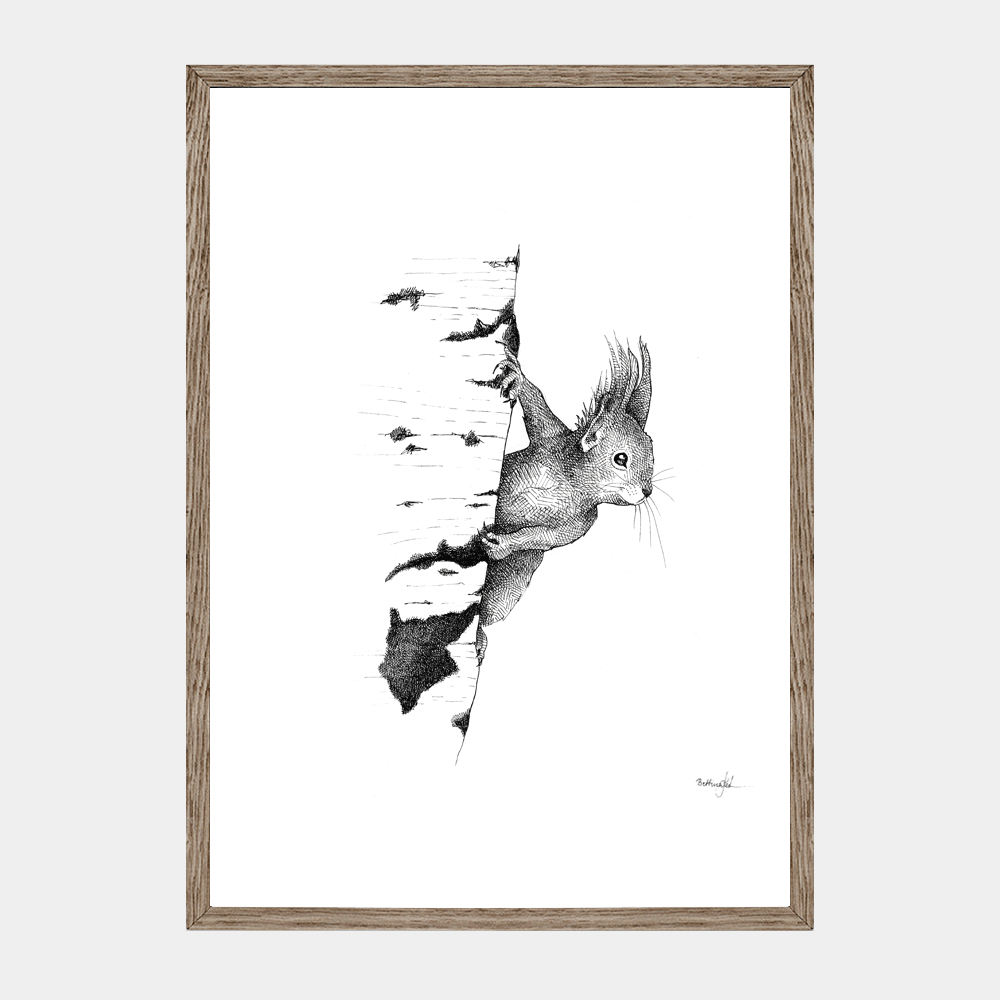 Håndtegnet plakat med egern. Et naturmotiv fra serien “I haven og skoven”, trykt i Danmark på kunstpapir – dansk kunst med varme og sjæl.