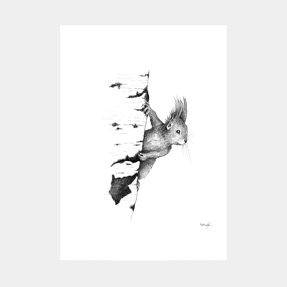 Håndtegnet plakat med egern. Et naturmotiv fra serien “I haven og skoven”, trykt i Danmark på kunstpapir – dansk kunst med varme og sjæl.