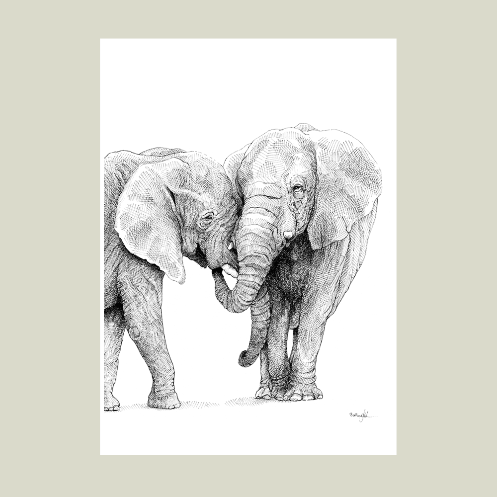 Plakatsæt – Samhørighed