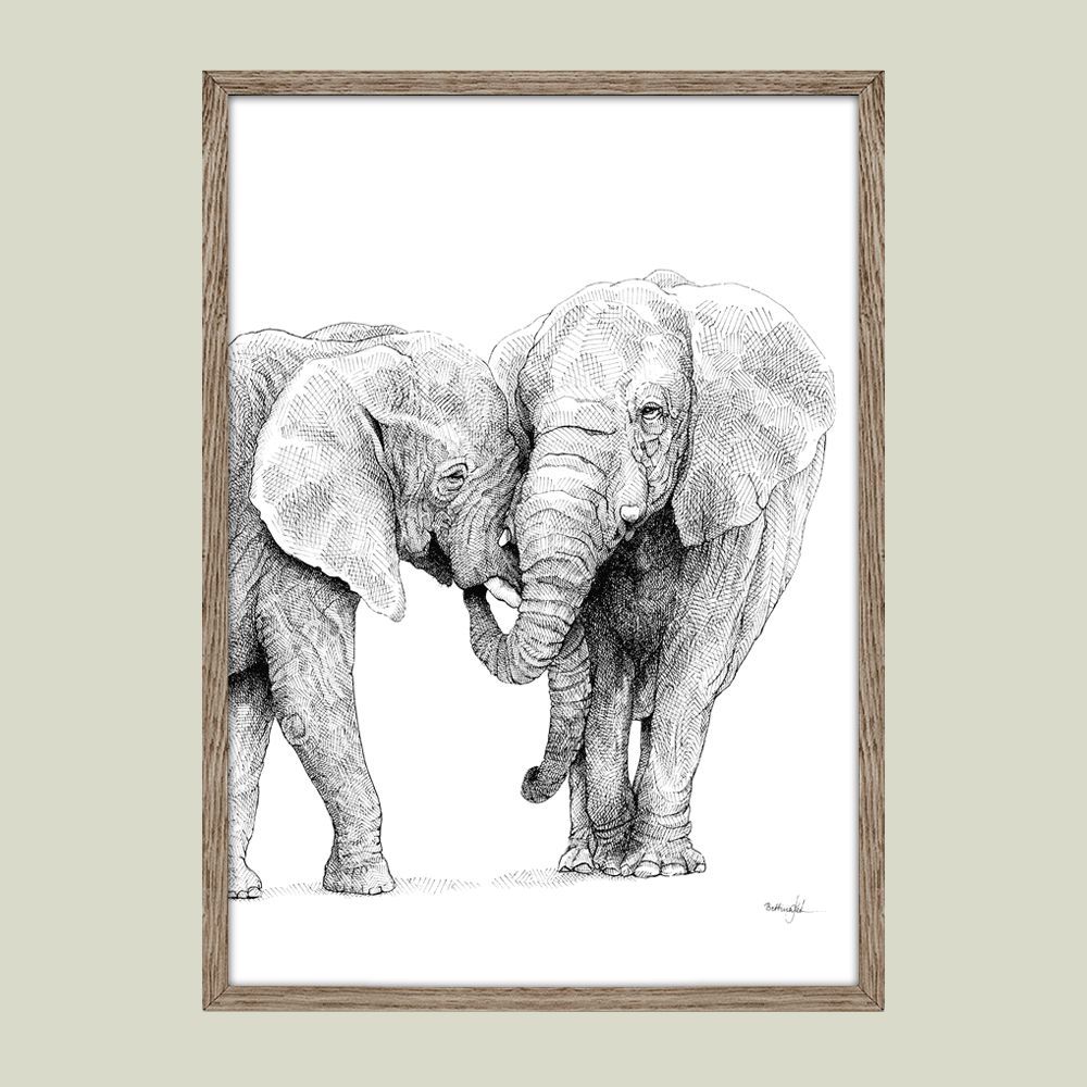 Plakatsæt – Samhørighed